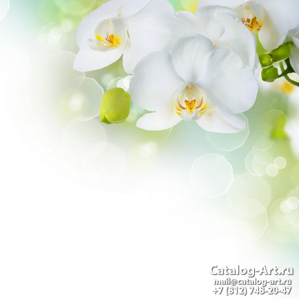 картинки для фотопечати на потолках, идеи, фото, образцы - Потолки с фотопечатью - Белые орхидеи 41